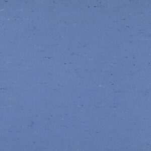 0004 Bluebird