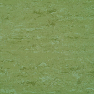 0011 Avocado Green