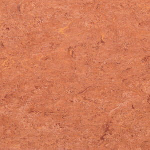 0019 Sunset Orange