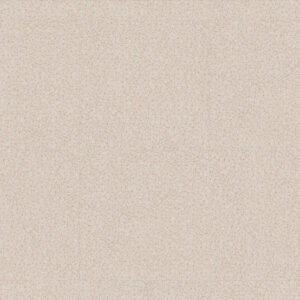 0033 Spider Beige