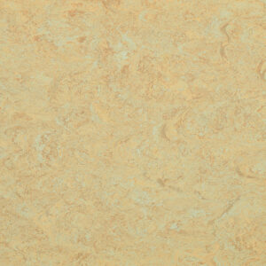 0040 Light Sahara