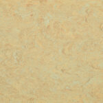 0040 Light Sahara