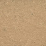 0042 Shortcrust
