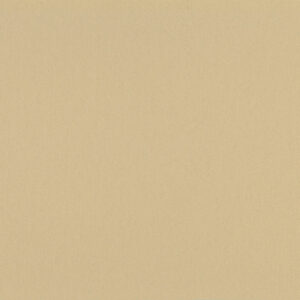 0043 Neutral Beige