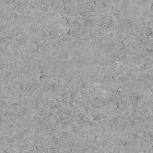 0053 Ice Grey