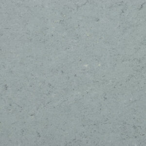 0055 Ash Grey