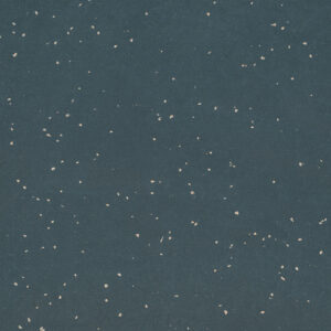 0070 Cool Grey