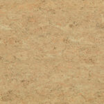 0070 Rocky Brown