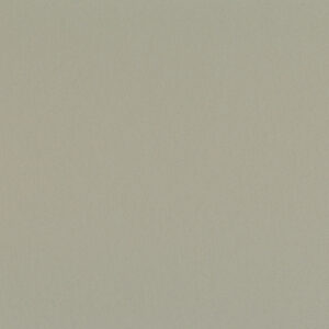 0085 Warm concrete grey