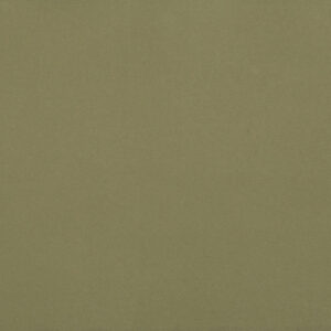 0090 Olive