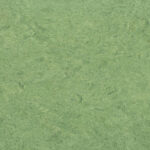 0100 Frog Green