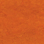 0117 Mandarin Orange