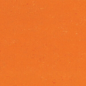 0170 Kumquat Orange