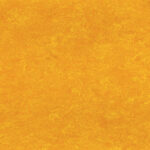 0172 Papaya Orange