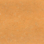 0173 Melon Orange