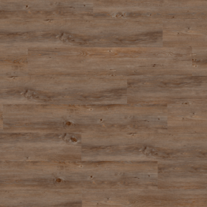 0359 Wild Oak