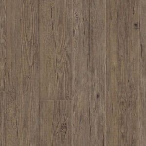 0360 Deep Forest