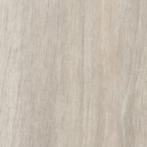0373 Noma Ice