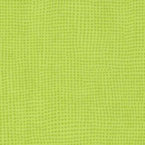 0515 Diversion Kiwi