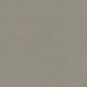 0551-Flashy-Asphalt-Grey
