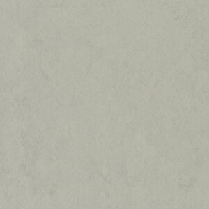 0552 Silver Grey