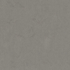 0554 Concrete Grey