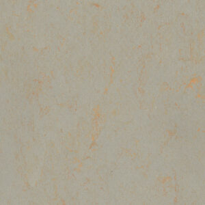 0555 Flashy Street Grey