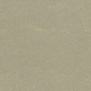 0556 Mud Grey