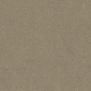 0558 Screed Grey