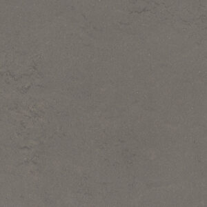 0560 Bold Grey