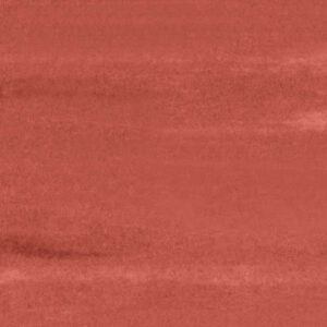 0623 Red Berries