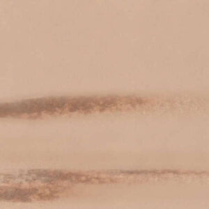 0686 Camel