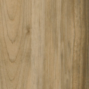 0727 Sycamore Vanilla