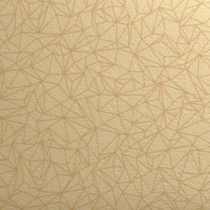 0954 Spider Dore
