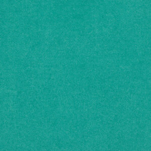 0965 Miami Foret
