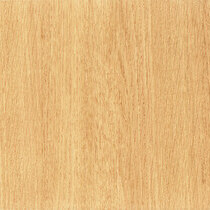1003 Arcy Chamois