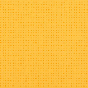 1047 Kubes Lemon