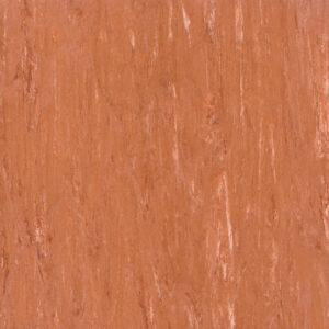 1055 Apricot