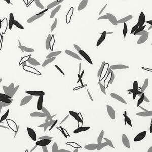 1098 Envol Black & White