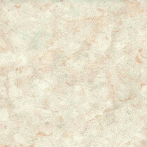 1101 Cream