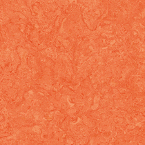 1126 Orange
