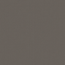 1145 Carbon