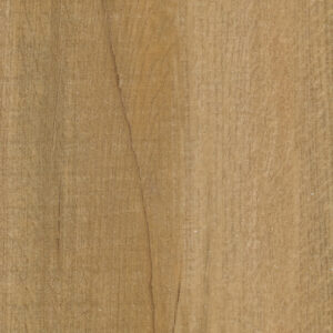 1419 Swiss Oak Golden