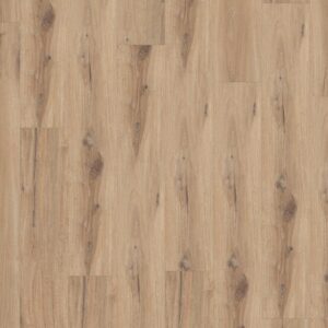 1455 Daintree Bal