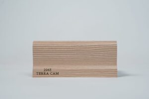 2065-TERRA-CAM