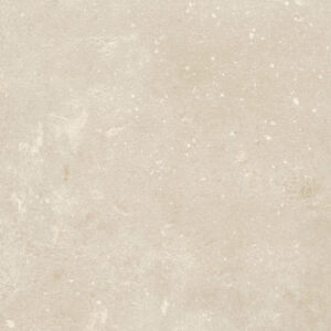 2135 Leone Cream