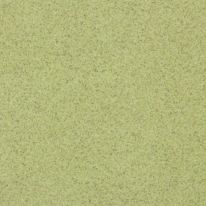 2192 Grass