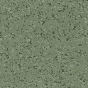 4457 Olivine
