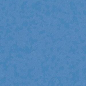 4495 Atlantic Blue