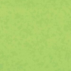 4527 Bamboo